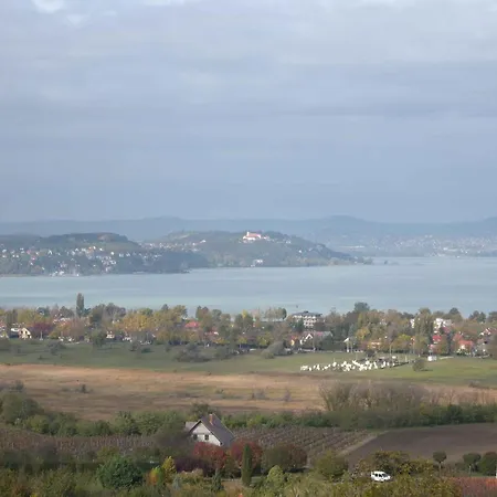 In - Balaton 53839 * زاماردي