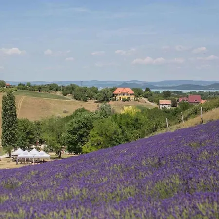 In - Balaton 53839 شقة زاماردي