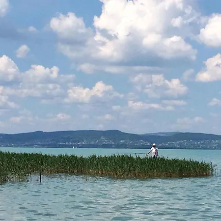 In - Balaton 53839 * زاماردي