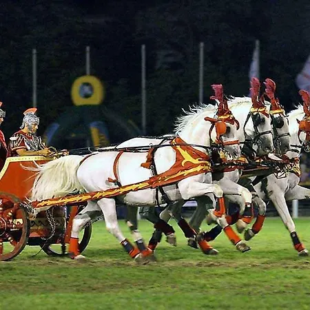 شقة In - Balaton 53839 *