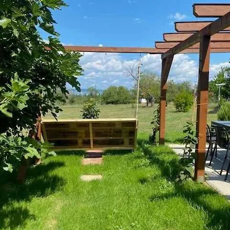 In - Balaton 53839 زاماردي